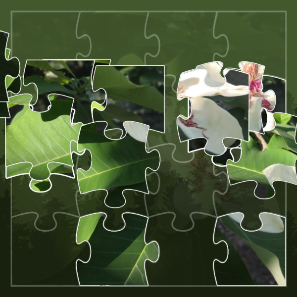 Puzzle ve formátu na šířku.